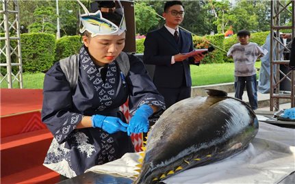 (TIN CHUYÊN ĐỀ) Du lịch Gia Lai bứt phá nhờ tổ chức nhiều sự kiện hấp dẫn