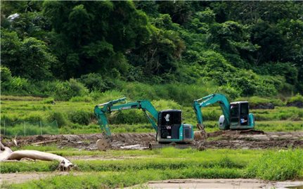 Nỗ lực khôi phục đất nông nghiệp để đảm bảo sinh kế sau lũ
