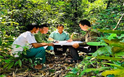 Người dân Canh Liên có thu nhập ổn định nhờ nhận giao khoán rừng