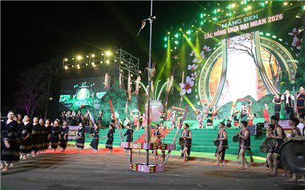 Măng Đen - Sắc hồng giữa đại ngàn