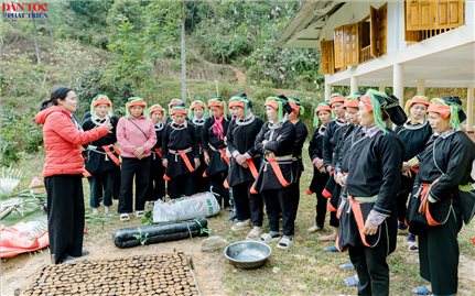 Tuyên Quang: Từng bước nâng cao giá trị sản phẩm chè Việt Lâm