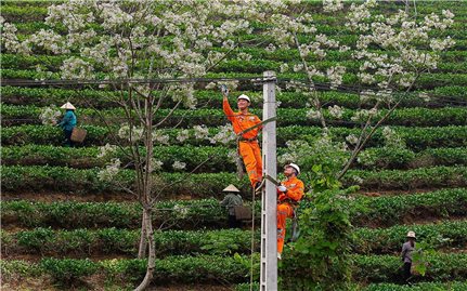 Lời chào năm mới từ những người giữ dòng điện miền Bắc