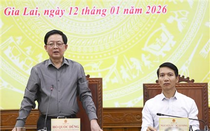 Phó Thủ tướng Hồ Quốc Dũng kiểm tra thực tế về thực hiện “Chiến dịch Quang Trung”