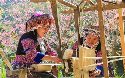 Sắc chàm trên miền di sản