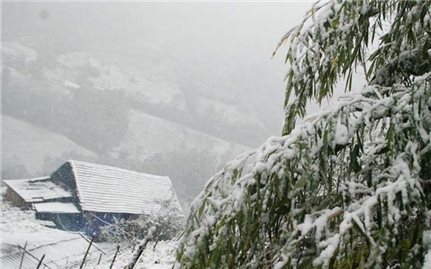 Các địa phương chủ động ứng phó rét đậm, rét hại và gió mạnh trên biển