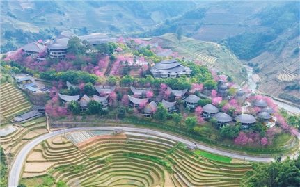 Tết này, nhà đã ấm