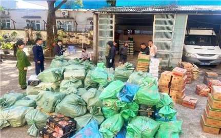 Quảng Ninh phát hiện gần 4 tấn thực phẩm không rõ nguồn gốc