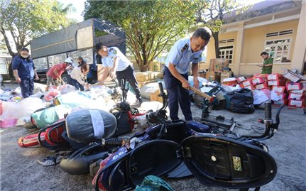 Gia Lai tiêu hủy gần 28.000 sản phẩm, hàng hóa vi phạm