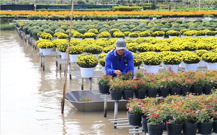 Giữ “hồn” hoa kiểng ở làng nghề trăm tuổi