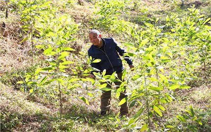 Thiện Thuật (Lạng Sơn): Đổi thay từ Chương trình mục tiêu quốc gia giảm nghèo bền vững