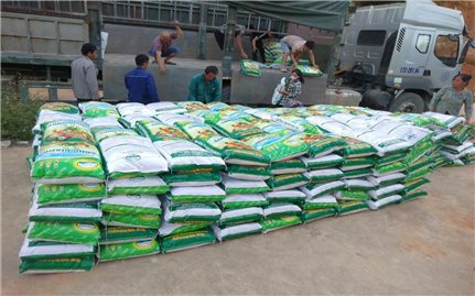 Dự án Hỗ trợ phát triển sản xuất: Tạo đòn bẩy giảm nghèo bền vững ở Thiện Thuật