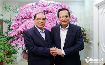 Bộ trưởng Bộ Dân tộc và Tôn giáo thăm, chúc Tết nguyên Tổng Bí thư Nông Đức Mạnh