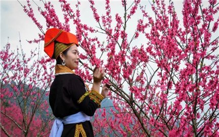 Biên giới đón Xuân