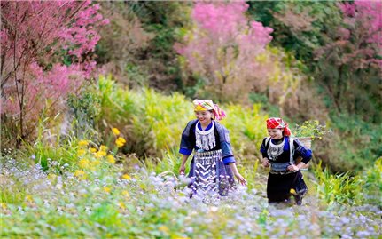 Diễn biến thời tiết những ngày Tết Nguyên đán Bính Ngọ 2026