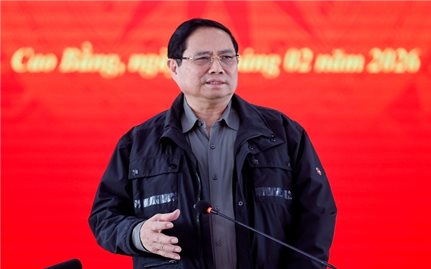 Thủ tướng: Phát động 