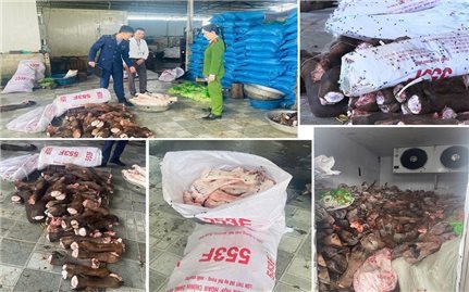 Công an Thanh Hóa phát hiện kho lạnh chứa 6 tấn thực phẩm bẩn