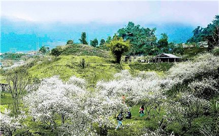 Mường Lống - nơi mùa Xuân đến sớm