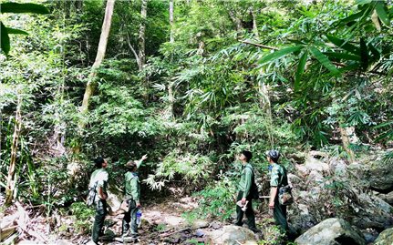 Những người “đón Tết