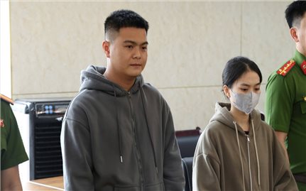 Đà Nẵng: Khởi tố đối tượng sản xuất, buôn bán rong biển khô giả