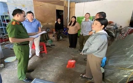 Khởi tố đối tượng hái cây rừng tự chế thuốc Nam rồi rao bán trên mạng