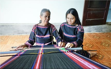 Những “cây đại thụ” ở biên giới Gia Lai