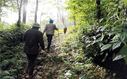 Khai thác con đường đá cổ Pavie