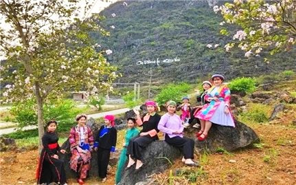 Khâu Vai - Điểm hẹn hấp dẫn mùa hoa trên cao nguyên đá