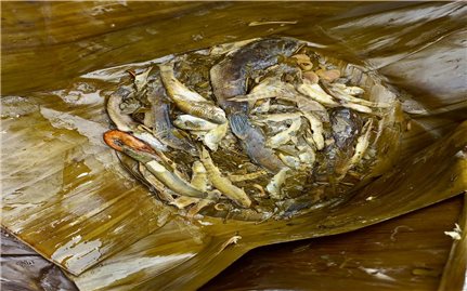 Cá “ốt đồ” măng chua – món ăn đãi khách quý của người Mường