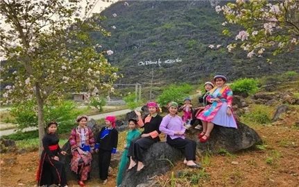 Khâu Vai – điểm hẹn hấp dẫn mùa hoa trên cao nguyên đá