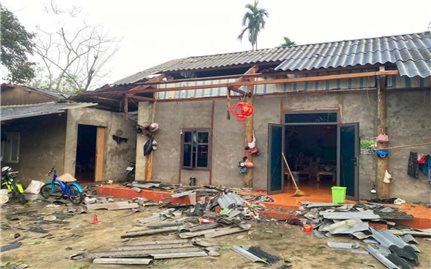 Lào Cai: Mưa to kèm gió lốc gây thiệt hại trên 5 tỷ đồng