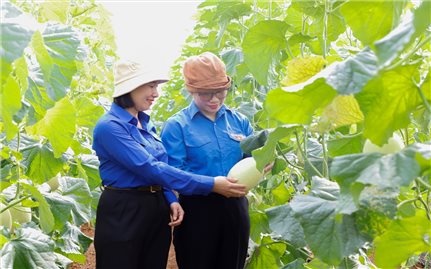 Trái ngọt từ sức trẻ thanh niên dân tộc thiểu số