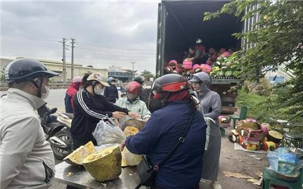 Nông dân Tây Nam Bộ 