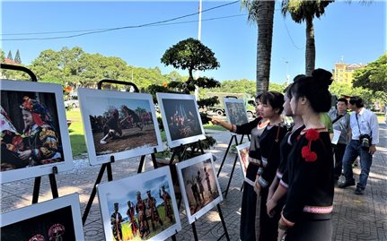 “Việt Nam thu nhỏ” đầy sắc màu qua ống kính nghệ sĩ