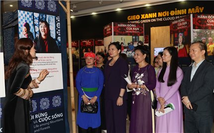 “Gieo xanh nơi đỉnh mây” - Kể câu chuyện về phụ nữ vùng cao phát triển sinh kế, thích ứng với biến đổi khí hậu