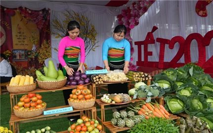 Hướng đi bền vững cho du lịch mùa Xuân