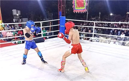 Gia Lai bảo tồn và phát huy Võ cổ truyền Bình Định