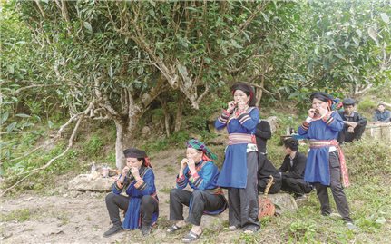 Kèn lá trong văn hóa người Cơ Lao