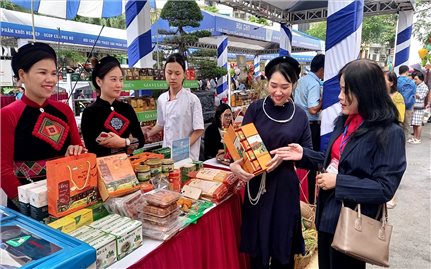 Tiếp sức đủ lực để phụ nữ DTTS khởi nghiệp đường dài