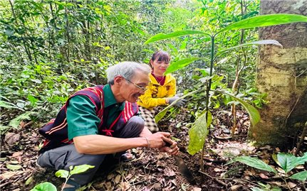 Người Ba Na sử dụng 
