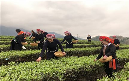 Đến cuối năm 2025, tỷ lệ hộ nghèo của tỉnh Lào Cai giảm còn 5,5%