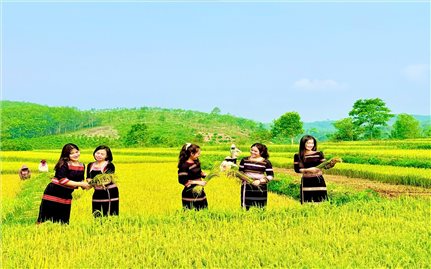 Vùng cao Quảng Ngãi sẵn sàng chào đón du khách trong kỳ nghỉ lễ 30/4 - 1/5