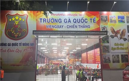 Thanh Hóa triệt phá “trường gà quốc tế Viêng Xay”, giao dịch hơn 1.200 tỷ đồng