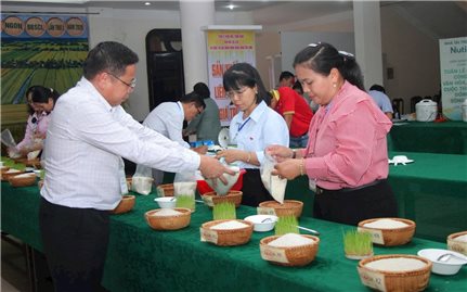 Cà Mau: Khai mạc cuộc thi gạo ngon vùng Đồng bằng sông Cửu Long