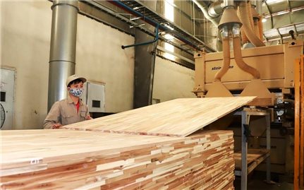 Đánh thức “Vàng xanh” xứ Nghệ bằng chiến lược lâm nghiệp công nghệ cao