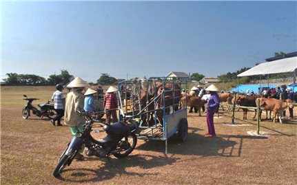 Đà Nẵng: Trao sinh kế cho hộ nghèo từ nguồn vốn chương trình mục tiêu quốc gia