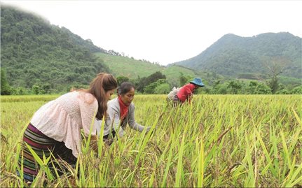 Từ hỗ trợ sang trao quyền - Lối đi căn cơ cho giảm nghèo bền vững