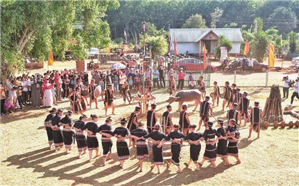 Buôn làng Tây Nguyên mừng chiến thắng
