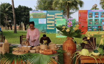 Người miền Tây tìm sinh kế thích ứng với môi trường sống