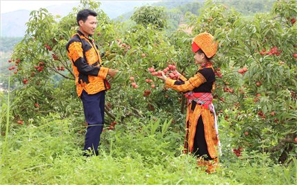 Đảm bảo mọi người dân, được sống trong môi trường an toàn, bình đẳng và không có bạo lực