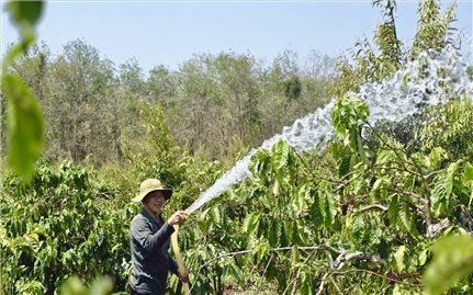 Nông dân Gia Lai tìm nhiều cách để tiết kiệm nhiên liệu sản xuất